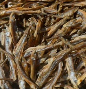 Smelt